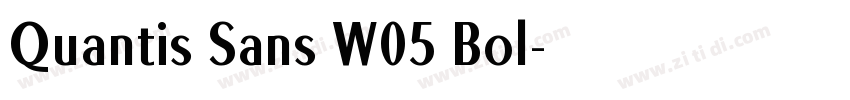 Quantis Sans W05 Bol字体转换